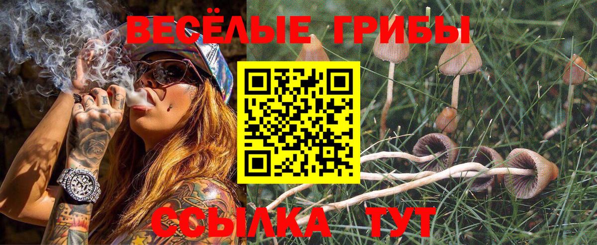 Галлюциногенные грибы мицелий Чернушка
